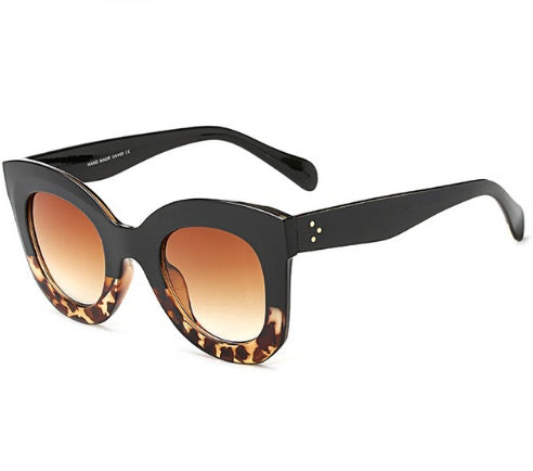 Feline Frenzy Shades